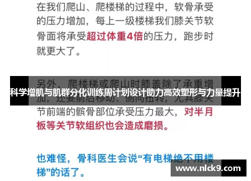 科学增肌与肌群分化训练周计划设计助力高效塑形与力量提升