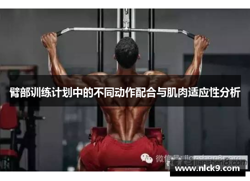 臂部训练计划中的不同动作配合与肌肉适应性分析